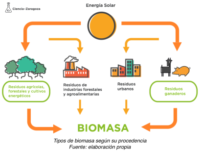 Tipos de biomasa